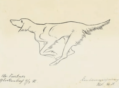 Jagdhund | Federzeichnung von Eugen Ludwig Hoess (zugeschrieben)