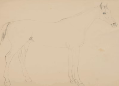 Zeichnung eines Pferdes | Studie von Otto Stöger