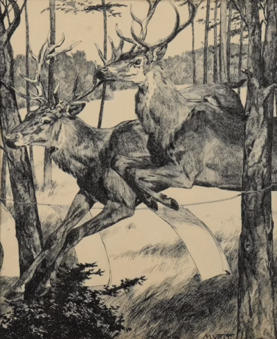 Jagdliche Tuschezeichnung | Gemälde von Moritz Veit um 1900