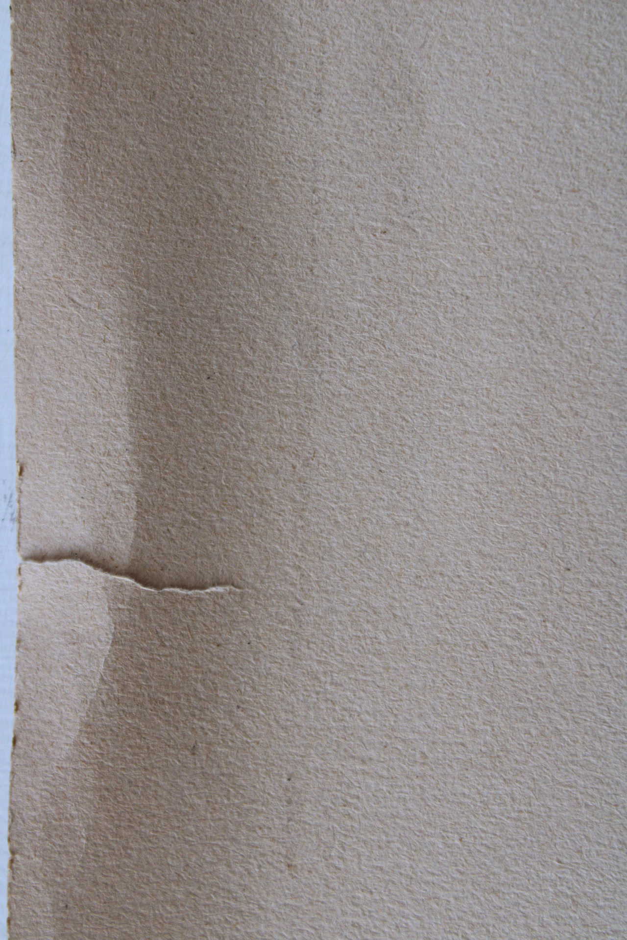 Herrenkopf mit Brille | Zeichnung/Studie | Gemälde von R. Fugger - Bild 5