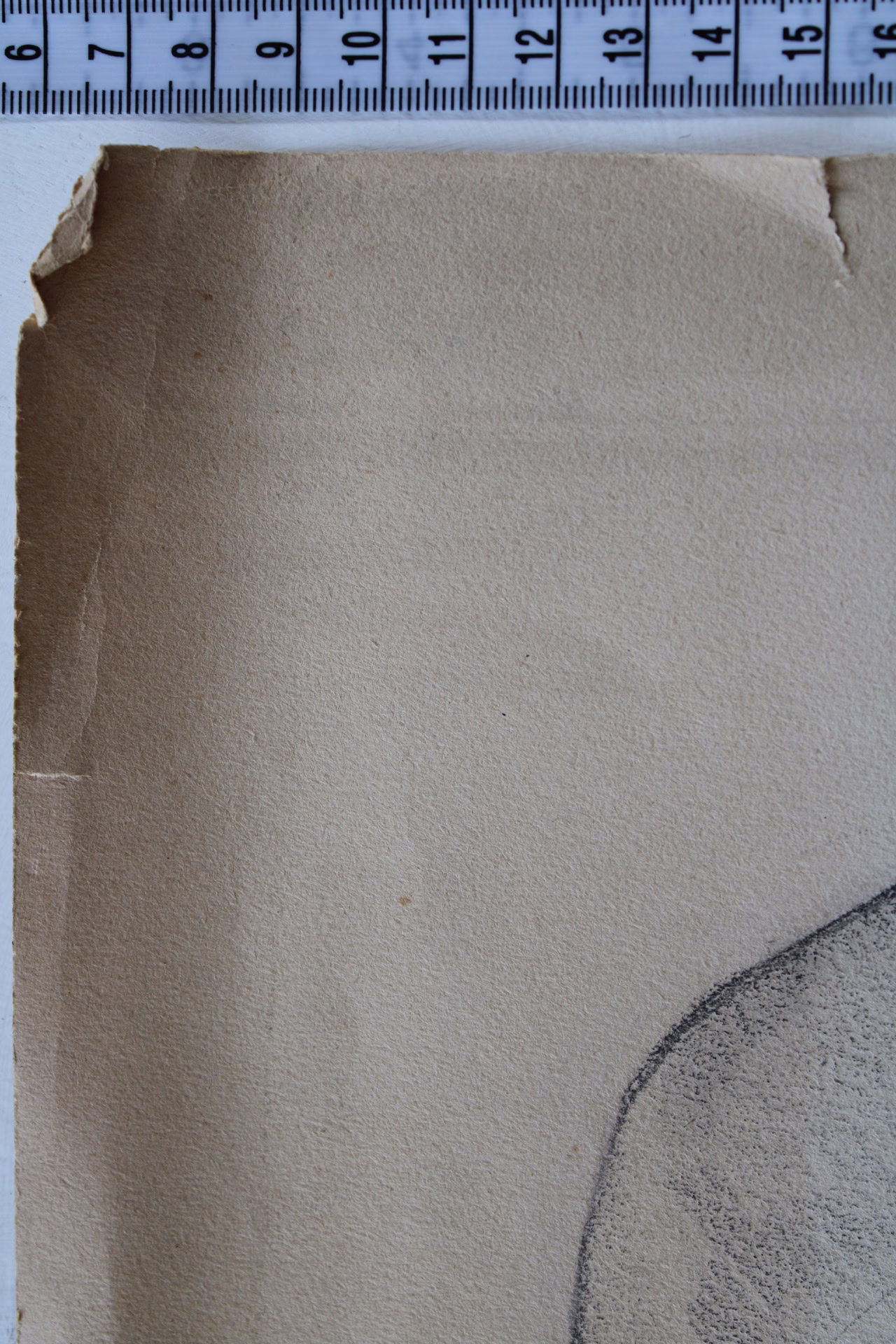 Herrenkopf mit Brille | Zeichnung/Studie | Gemälde von R. Fugger - Bild 6