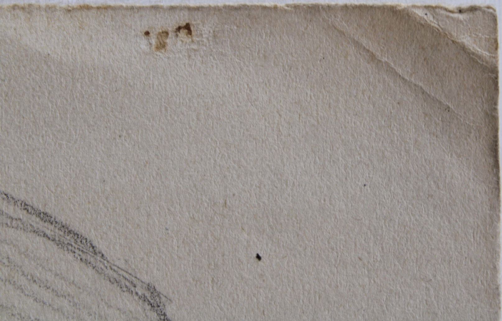 Porträt, 1945 | Zeichnung/Studie | Gemälde von R. Fugger - Bild 4