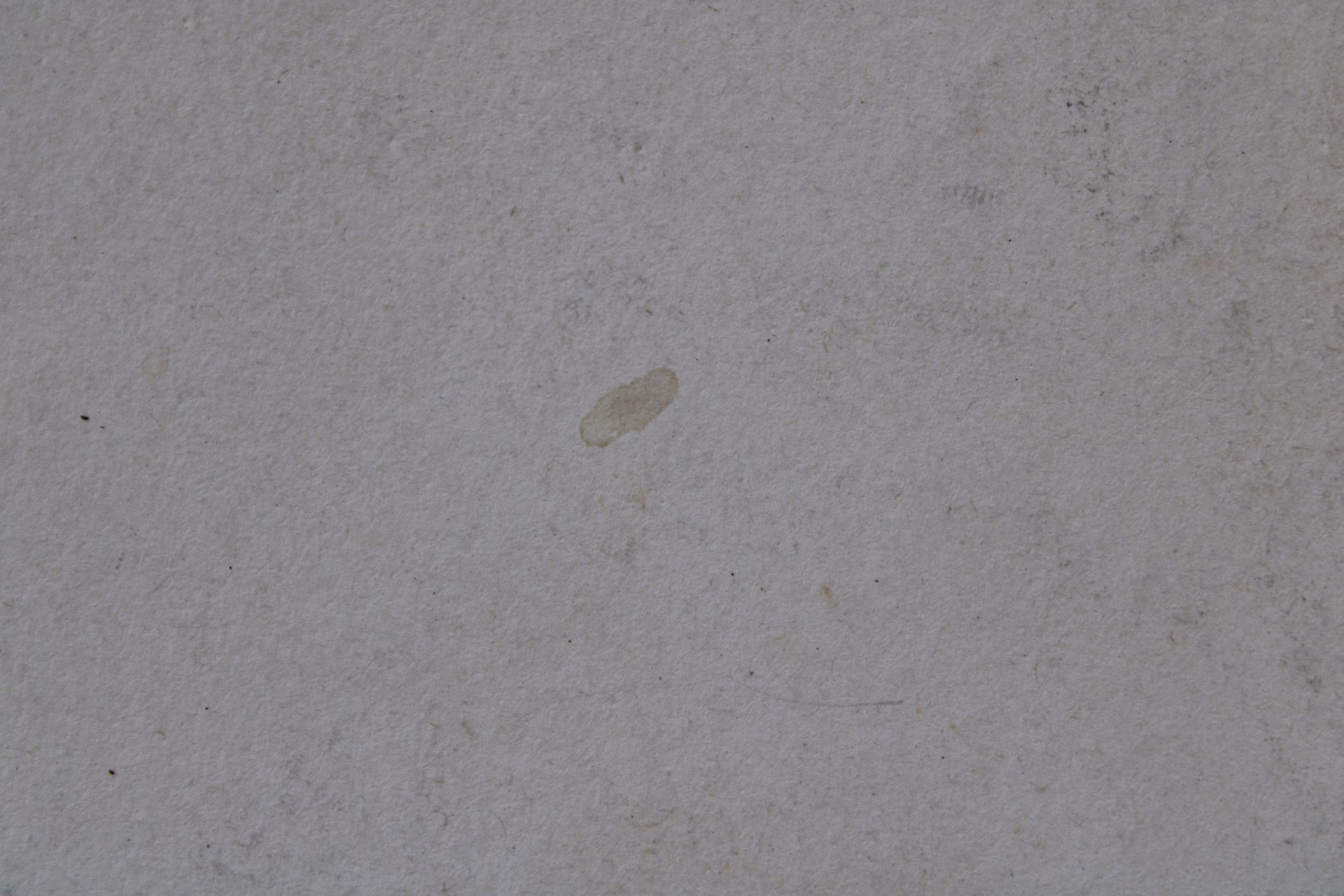 Porträt, 1945 | Zeichnung/Studie | Gemälde von R. Fugger - Bild 9