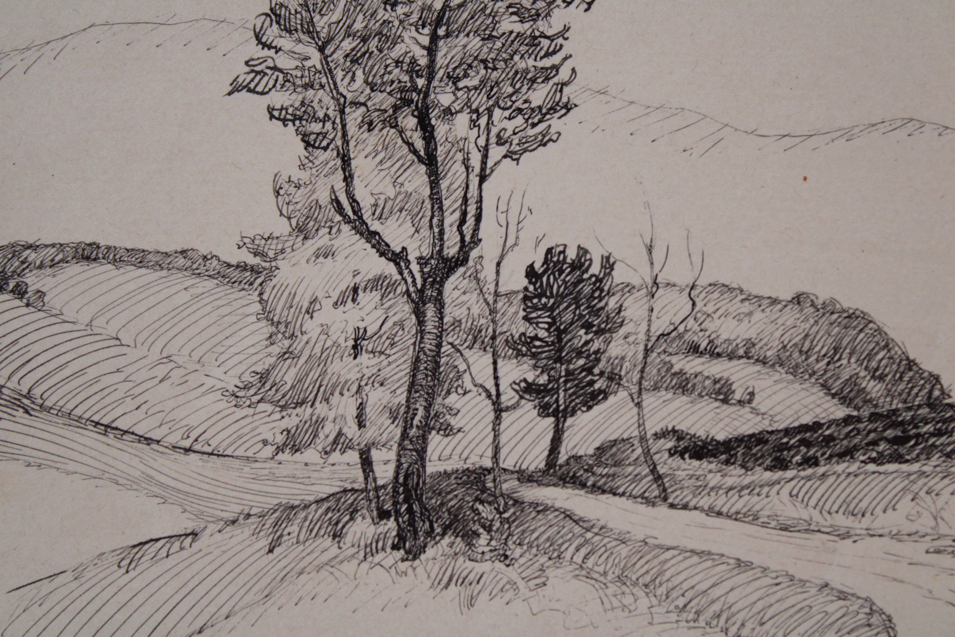 Feldweg | Zeichnung/Studie | Gemälde von R. Fugger - Bild 3