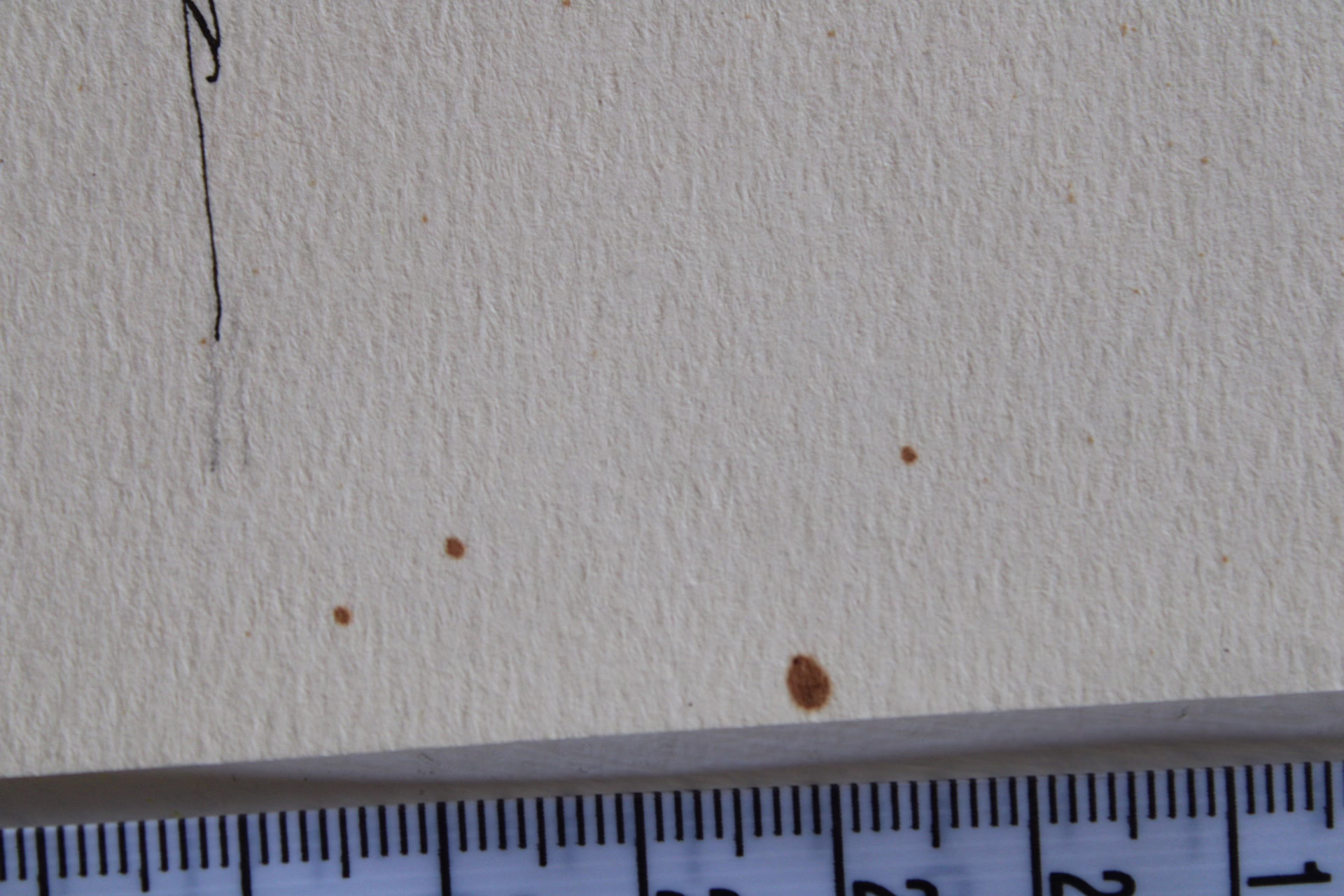 Zeitung lesen | Zeichnung/Studie | Gemälde von R. Fugger – Bild 3