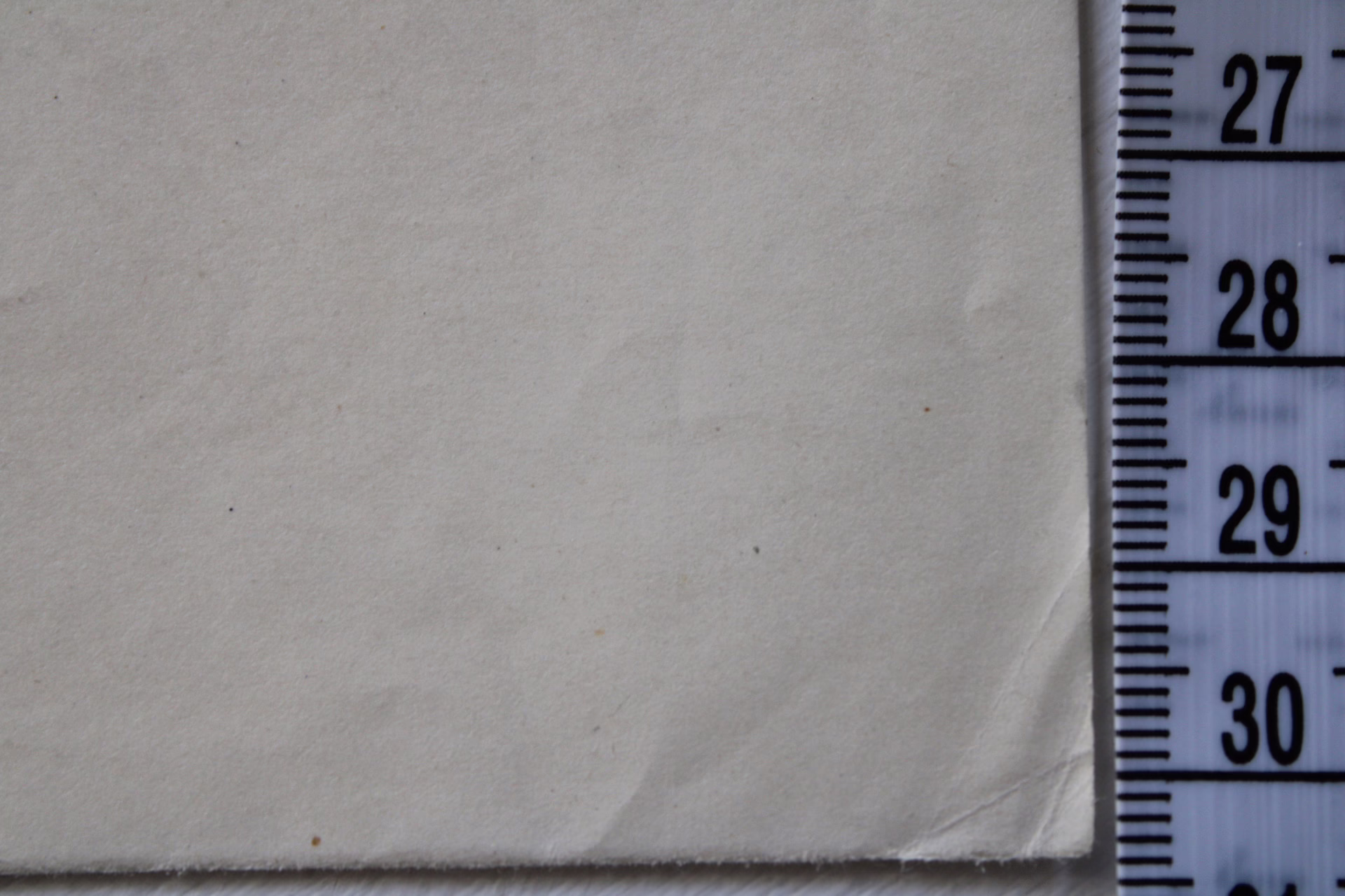 Rückenansicht einer Dame | Zeichnung/Studie | Gemälde von R. Fugger - Image 5