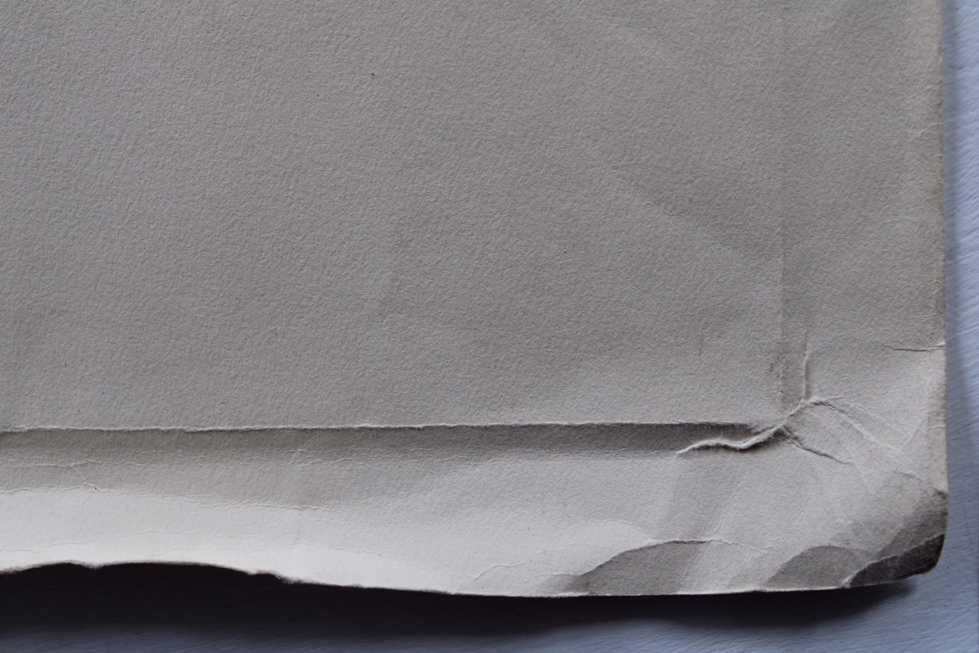 Frauenporträt | Zeichnung/Studie | Gemälde von R. Fugger — изображение 3