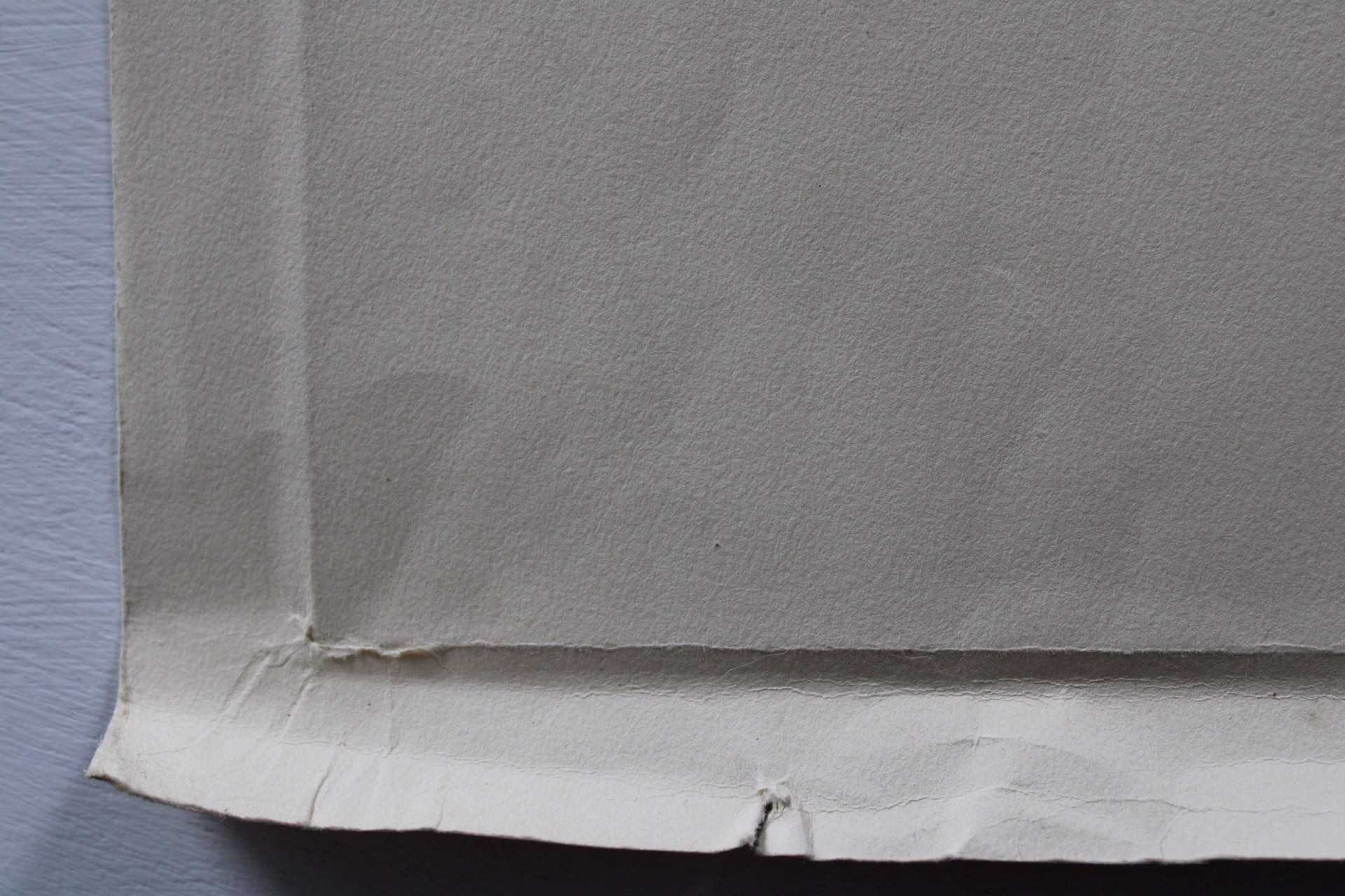 Frauenporträt | Zeichnung/Studie | Gemälde von R. Fugger — изображение 4