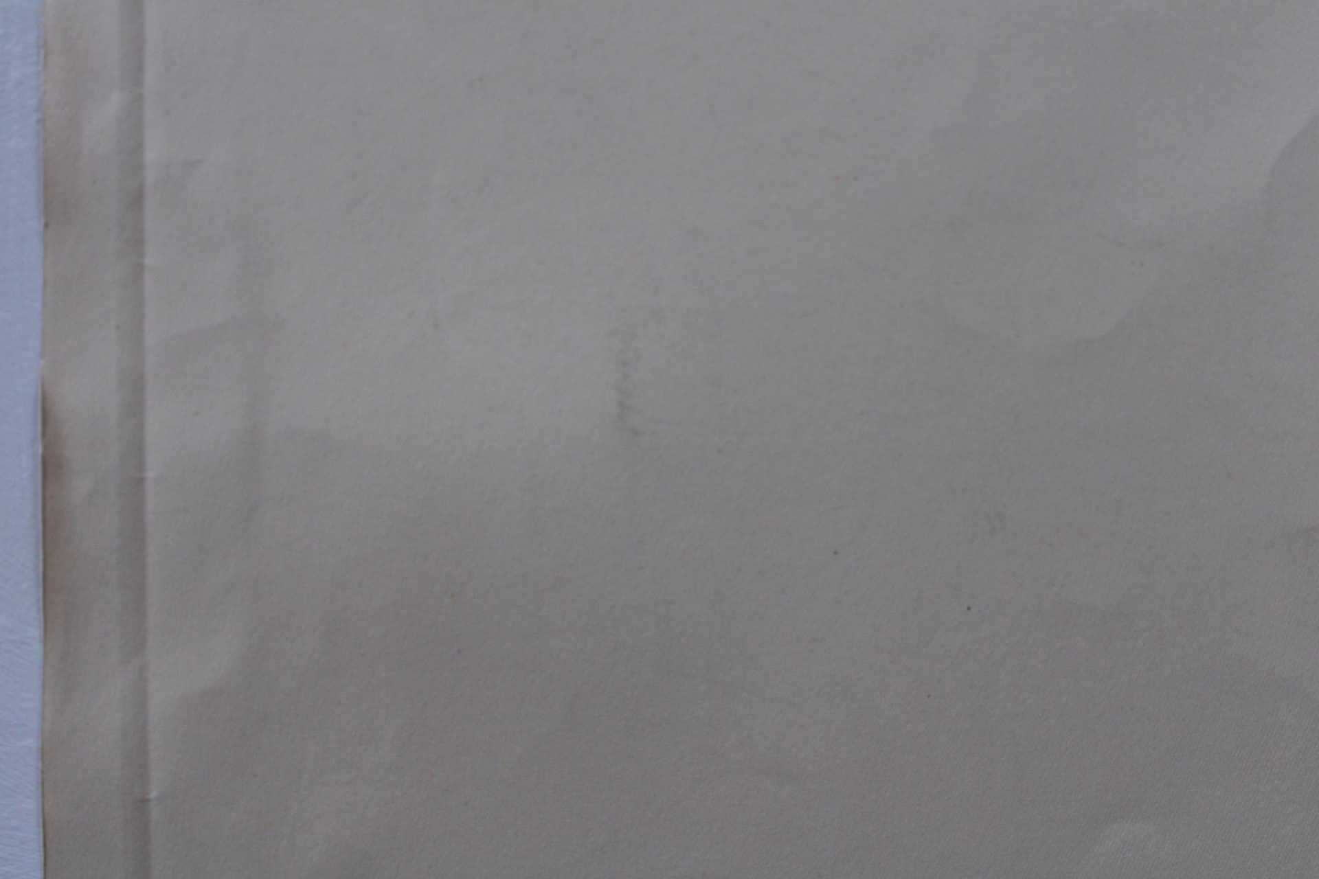 Frauenporträt | Zeichnung/Studie | Gemälde von R. Fugger — изображение 8