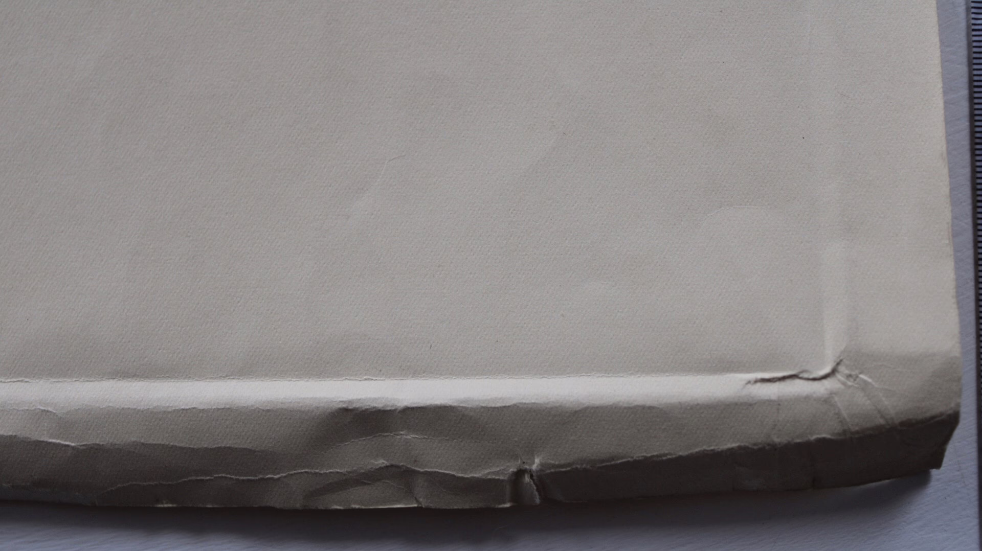 Frauenporträt | Zeichnung/Studie | Gemälde von R. Fugger — изображение 11