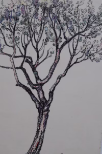 Ein Baum | Zeichnung | Gemälde von R. Fugger