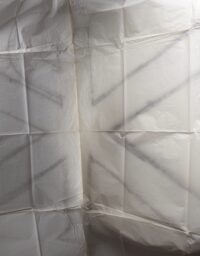 Großer Entwurf von Carl Neff Biberbach (4)