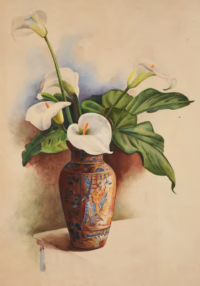 Stillleben Calla Blüten in Asiatika Vase | Aquarell von H. Zeiler?
